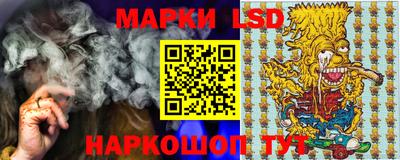 гашик Гатчина