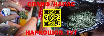 гашик Гатчина