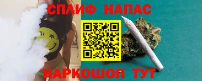 гашик Гатчина