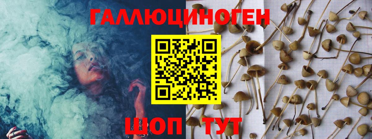 Псилоцибиновые грибы прущие грибы Невинномысск