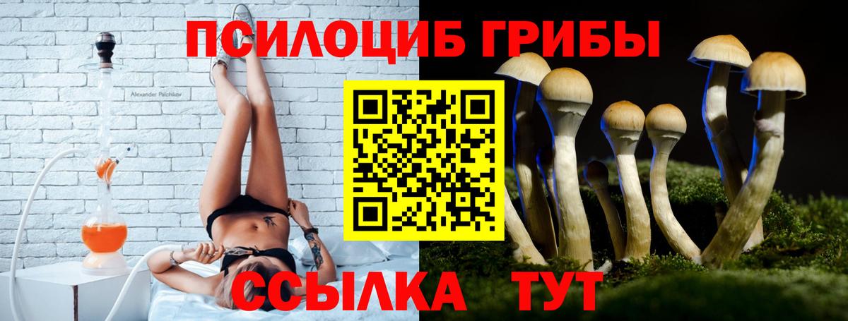 Псилоцибиновые грибы GOLDEN TEACHER  Вход с VPN  Галлюциногенные грибы Psilocybine cubensis  Невинномысск 