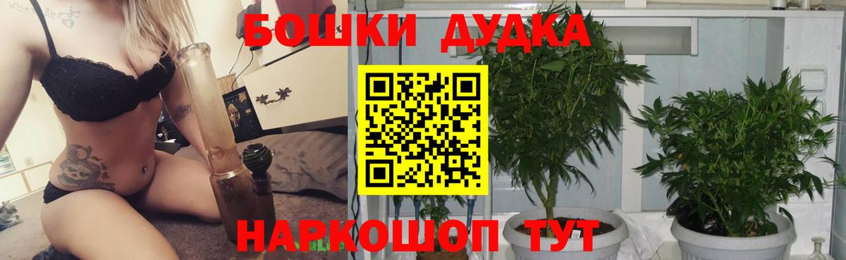 Канабис гибрид Невинномысск